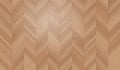 Hungarian Point Parquet Royalty Free Stock Photo