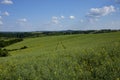 Hungarian scene in the spring