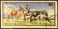 Hungarian stamp depicting horses on pasture