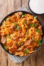 Hungarian Szegedin Goulash features slow simmered, succulent pork, onions and sauerkraut in a wonderfully rich paprika infused Royalty Free Stock Photo