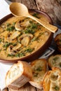 Hungarian thick mushroom soup with fresh dill closeup. vertical