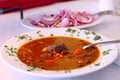 Hungarian traditional soup and onions Royalty Free Stock Photo