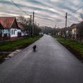 Hungarian Village street with a dog running