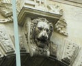 Hungary, Budapest, Chain Bridge, head of the lion Royalty Free Stock Photo