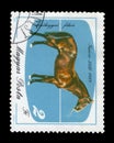 Hungary, circa 1985, hungarian postage stamp bearing the horse Furioso 23, 1889