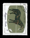 Hungary, circa 1985 - hungarian postage stamp bearing the horse Nonius 36, 1883