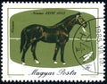 HUNGARY - CIRCA 1985: stamp 1 Hungarian forint printed by Hungary, shows Nonius-36, 1883 Equus ferus caballus, circa 1985