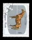 Hungary, circa 1985, stamp Hungary - horse Hydran 4, 1935