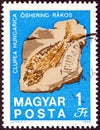 HUNGARY - CIRCA 1969: A stamp printed in Hungary shows Hungarian herring fossilized fish, circa 1969. Royalty Free Stock Photo