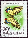 HUNGARY - CIRCA 1959: A stamp printed in Hungary from the `Butterflies and Moths` issue, shows a Swallowtail butterfly