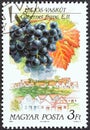 HUNGARY - CIRCA 1990: A stamp printed in Hungary shows Cabernet Franc, Hajos, circa 1990.