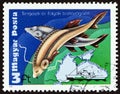 HUNGARY - CIRCA 1979: A stamp printed in Hungary shows Sturgeon, Cousteau`s Ship Calypso and Black Sea, circa 1979.