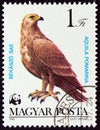 HUNGARY - CIRCA 1983: A stamp printed in Hungary shows Lesser spotted eagle Aquila pomarina, circa 1983. Royalty Free Stock Photo