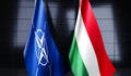 Hungary and NATO flags - 3D illustration