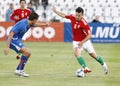 Hungary vs. Iceland football game