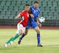 Hungary vs. Iceland football game