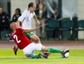 Hungary vs. Ireland friendly football game Royalty Free Stock Photo