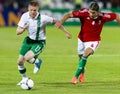 Hungary vs. Ireland friendly football game