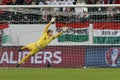 Hungary vs. Norway UEFA Euro 2016 qualifier play-off football match