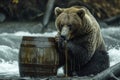 A hungry bear eats honey from a barrel near a river in nature