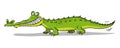 Big long green crocodile with many sharp teeth Royalty Free Stock Photo