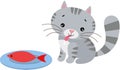 Hungry cat eating red fish Royalty Free Stock Photo