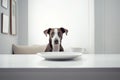 Hungry dog sitting at table with empty plates.