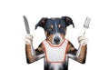 Hungry dog wants to eat and hold knife and fork