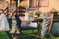 Hungry dog watching garden summer outdoor party with cheese and meat on wooden table