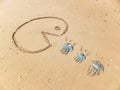 Hungry emot after three Blue Jellyfish washed ashore onto sand on Australian beach