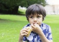 Hungry kid boy eating homemade bread sandwiches with mixed vegetables, Child siting on green grass eating his snack picnic in the