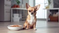 hungry little dog siting on the ground with a filled bowl