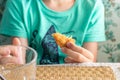 A hungry preteen boy eating chicken nuggets in a restaurant