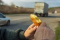 Hungry senior driver holding half of fried patty against road with cars