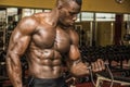 Hunky muscular black bodybuilder working out in gym