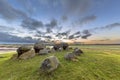 Hunnic monolithic Dolmen Royalty Free Stock Photo