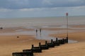 Beau flat scenery on the Norfolk coastline