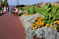 Coastal Gardens, Hunstanton, Norfolk.