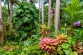 HunteÃÂ´s Botanical Garden on the Caribbean island of Barbados. It is a paradise destination with a white sand beach and turquoiuse