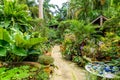 HunteÃÂ´s Botanical Garden on the Caribbean island of Barbados. It is a paradise destination with a white sand beach and turquoiuse