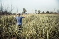 Hunter boy breakthrough tall grass during hunting season in summer day with copy space