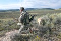 Hunter in camouflage scanning an arid landscape Royalty Free Stock Photo