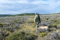 Hunter with dog walking through field for hunting Royalty Free Stock Photo