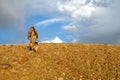 Hunter and dogs hiking in arid sunrise landscape Royalty Free Stock Photo