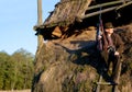 Hunter, game shooting and man on a safari gun at outlook post for animal and wild hunting. Male person, poacher and Royalty Free Stock Photo