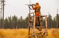 Hunter and his elkhound outdoor - hunting season
