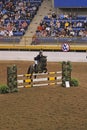 Hunter Jumper Grand Stakes