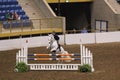 Hunter Jumper Grand Stakes