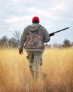 Hunter moving with shotgun looking for prey. Royalty Free Stock Photo