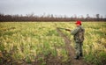 Hunter moving with shotgun looking for prey. Royalty Free Stock Photo